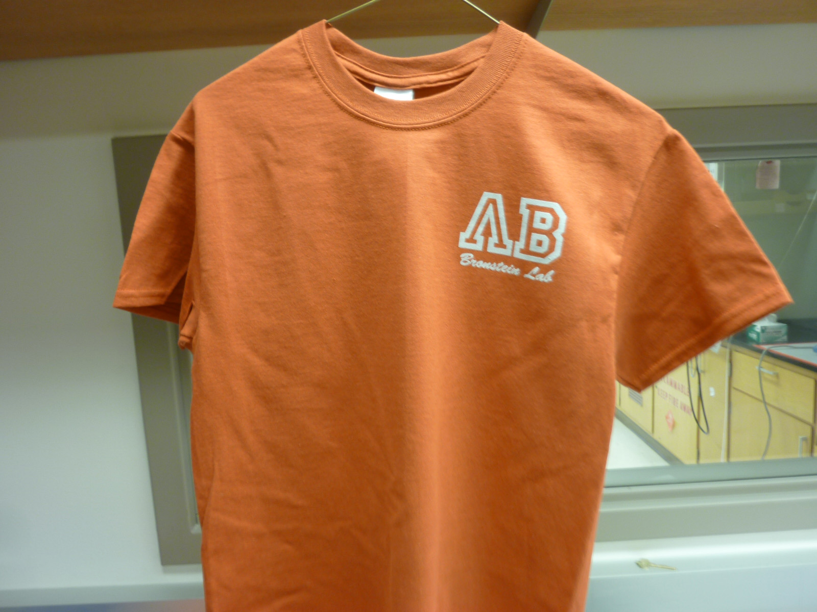 Lab shirt-front